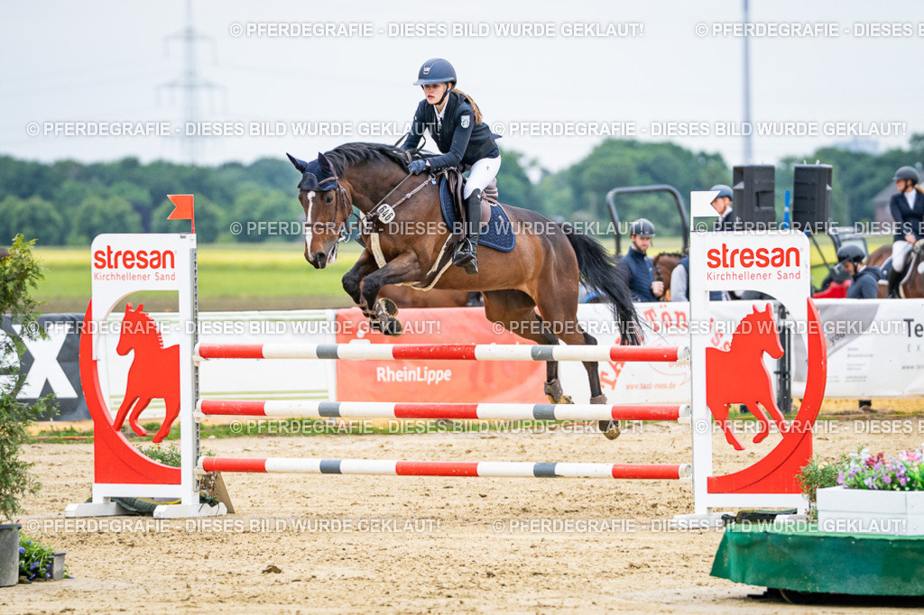 DSC06208 | Pferdegrafie