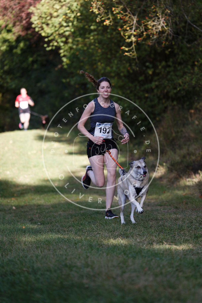 0L8A5659 | Hundefotografie, Tierfotograf, Pfotenfotografie, Fotoshooting Hund, Hunde Portrait, Hundesport, Hundeportraits, Heideshooting, Hunde, Sportfotograf, Hundefotograf, Turnierhundsport, THS,  - Realisiert mit Pictrs.com