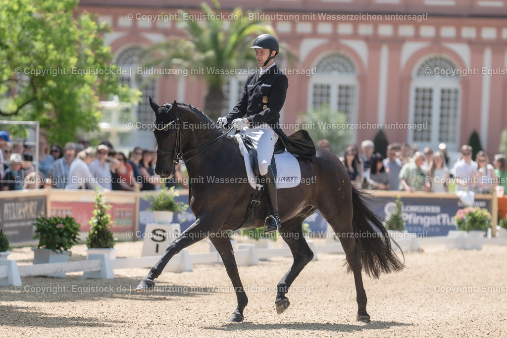 20230527_01_GP-Kür-Tour_0015 | equistock