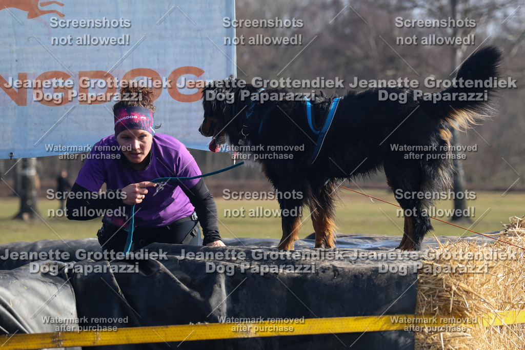 Dog Paparazzi - Strongdog North Mrz26-1355 | Dog Paparazzi Jeanette Grottendiek Fotografie & Videografie - Realisiert mit Pictrs.com