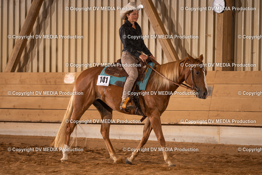 NID00757 | dv-media-shop - Realisiert mit Pictrs.com