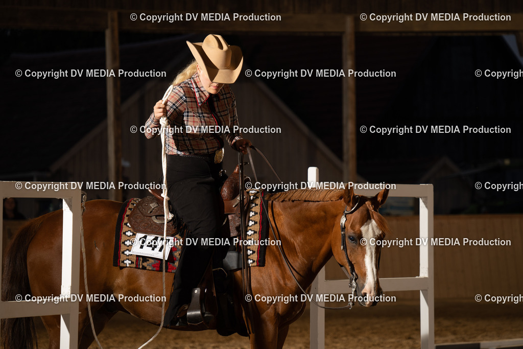 NE101468 | dv-media-shop - Realisiert mit Pictrs.com