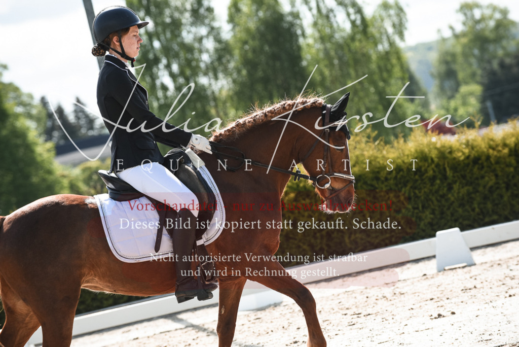 20230518_JK-Röhrsdorf-09-1521 | Pferde- und Turnierfotografie in Westsachsen. Pferdeportraits, Auftragszeichnungen und intuitive Kunst.