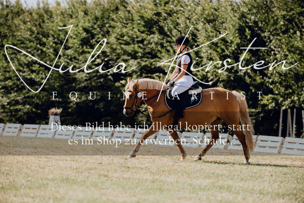 DSC_7069 | Pferde- und Turnierfotografie in Westsachsen. Pferdeportraits, Auftragszeichnungen und intuitive Kunst.