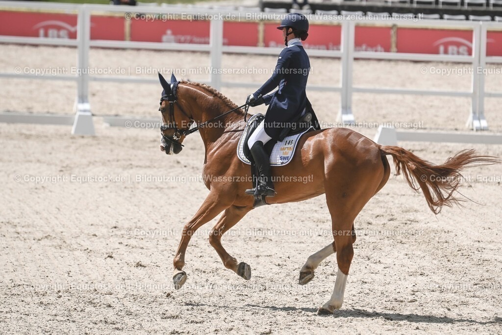 20250516_CCI2_Dressur_0273 | Foto: Thomas Hartig