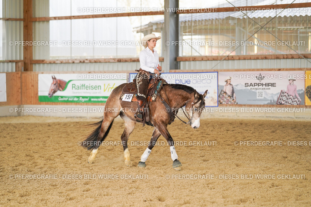 DSC01389 | Pferdegrafie