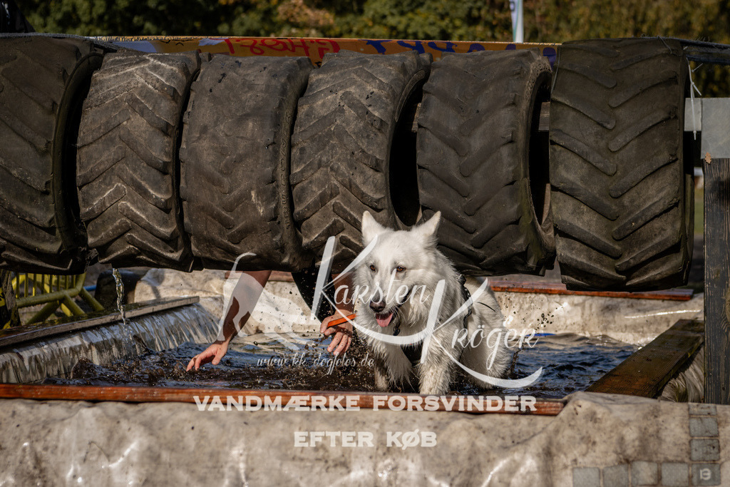 1346_ZZ92964 | kk-dogfotos