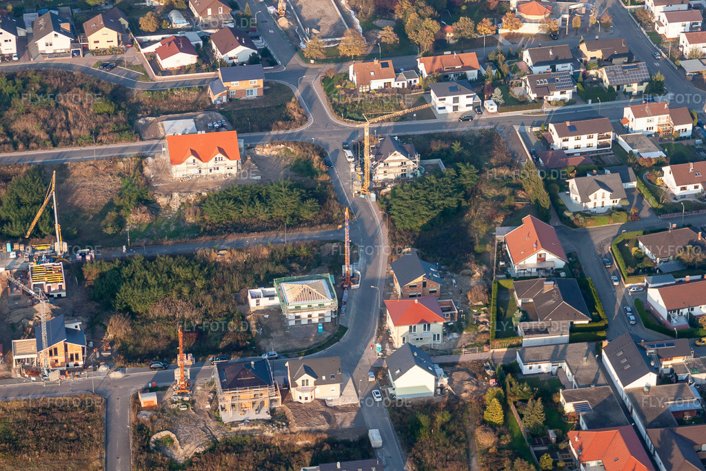 Luftbild: Vogelring in Jockgrim im Bundesland Rheinland-Pfalz in Deutschland. Foto: IMG_46135.jpg vom 23.10.2011 durch Werner Riehm/FLY-FOTO.de