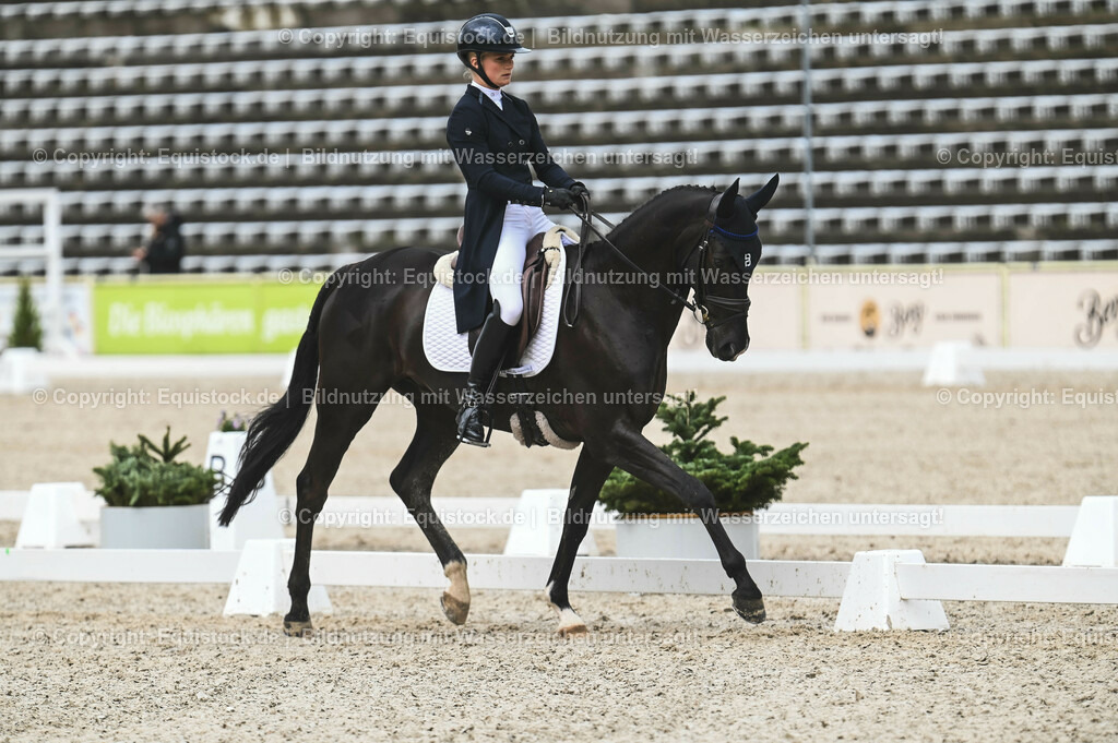 20230512_CCI4_Dressur_0159 | equistock