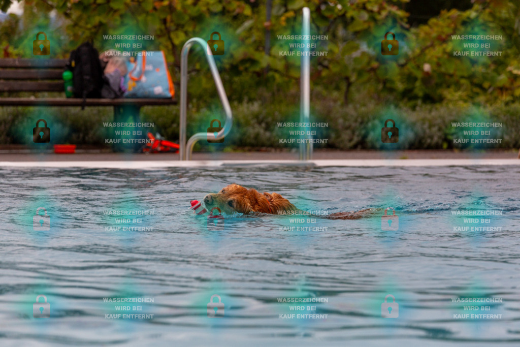 _HP_6098_1000o | HetPix, HetPix Fotodesign, Fotografie, Fotodesign, Webshop, Sportfotografie, Portraitfotografie, Onlineshop, Sportfotografie, Polch, Motorsportfotografie, Eventfotografie