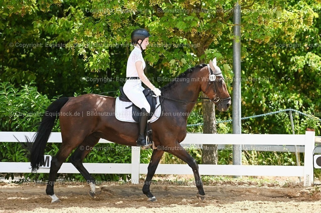 20230715_09_Dressur-WB_0248 | equistock