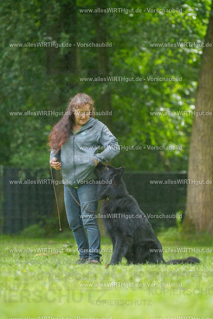 @allesWIRTHgut_Tierfotografie - www.allesWIRTHgut.de - 7R501674 | Professionelle Tierfotografie in Mönchengladbach von Daniel Wirth (allesWIRTHgut). Liebevolle & natürliche Bilder von Hunden & Katzen für unvergessliche Erinnerungen.
