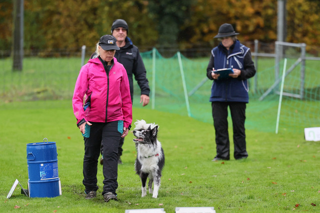2025_Rally_Obedience_SM-72 | Ich fotografiere Hundeausstellungen, Sportanlässe, Zuchtstätten, Hundezucht, Hundeportrait, Lagotto - Realisiert mit Pictrs.com