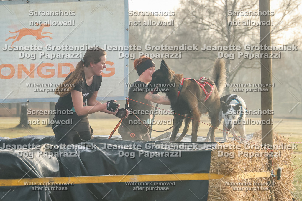 Dog Paparazzi - SD North 0326 Sa8-830 | Dog Paparazzi Jeanette Grottendiek Fotografie & Videografie - Realisiert mit Pictrs.com