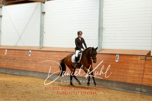 _62_7254 | Turniersportfotografie; Pferdefotografie; Dressurfotografie