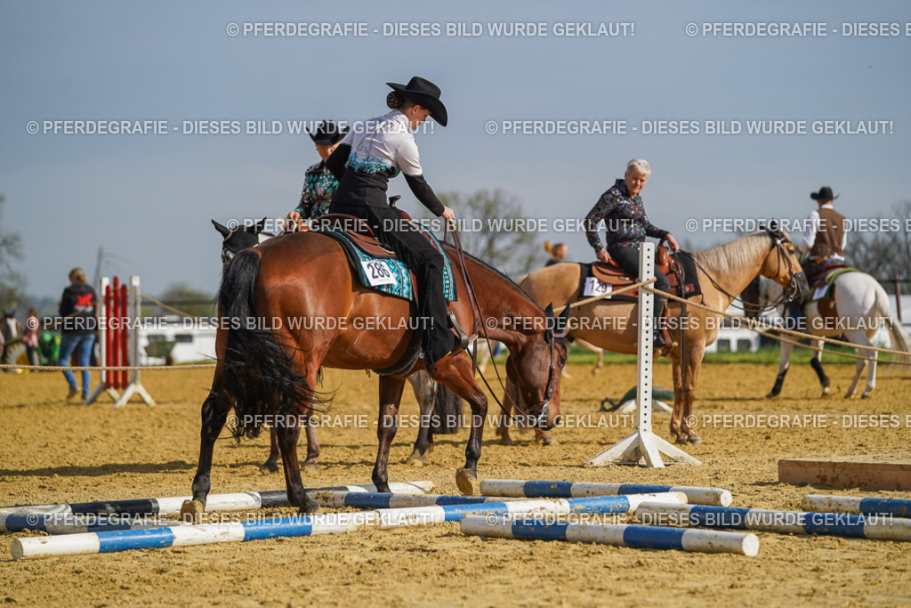 DSC01192 | Pferdegrafie