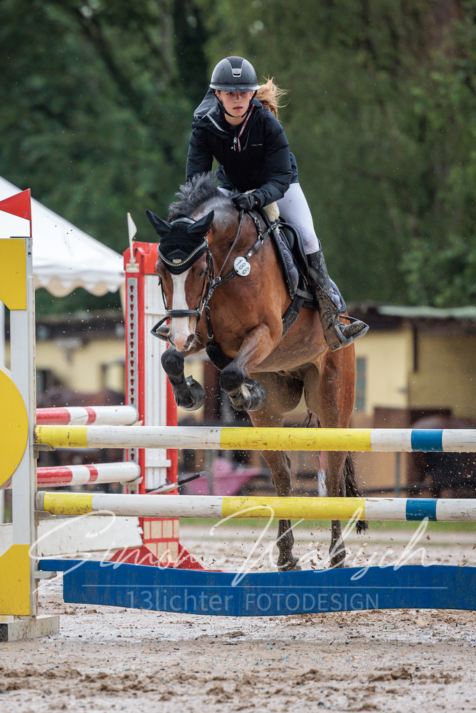 20260531-_3LI3759 | Tierfotografie Pferde, Hunde, Katzen, Haustiere.
Turnierfotografie Reitturniere, Reiten, Springreiten, Dressur in Hanau, dem Main-Kinzig-Kreis und dem Rhein-Main- Gebiet um Frankfurt