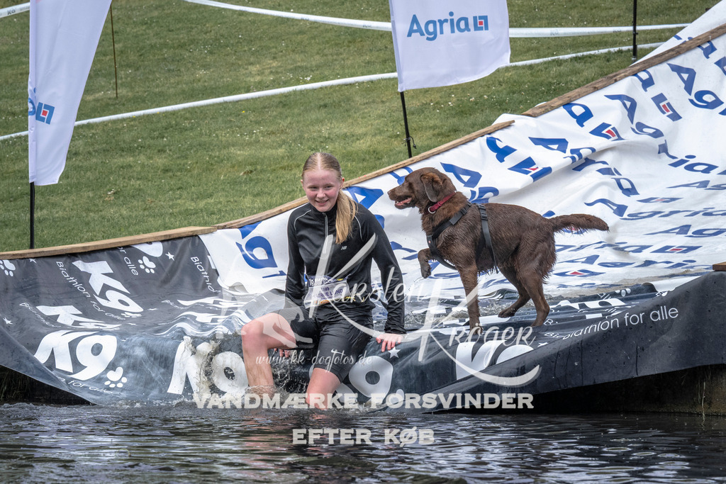 1143_ZZ93561 | kk-dogfotos