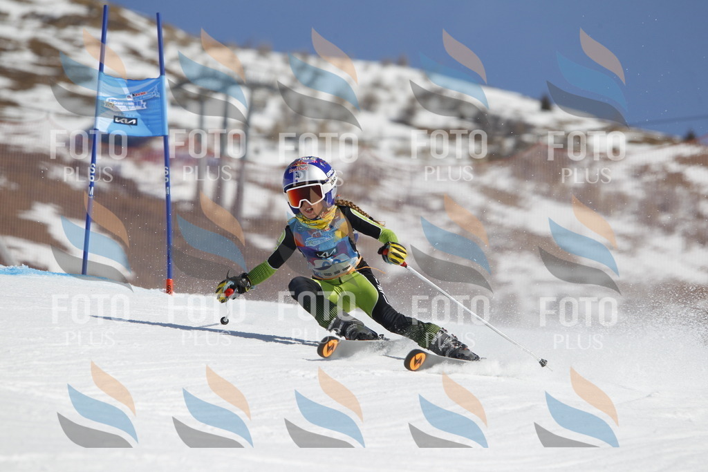 _U3G9669 | holidayphoto