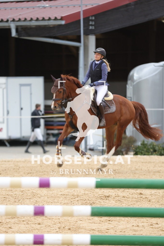 0P6A8048 | Willkommen bei Brunnmayr - Design & Fotografie – Ihrem Spezialisten für Reitturniere und Pferdeveranstaltungen in Oberösterreich, Salzburg und Bayern! Seit über 17 Jahren sind wir leidenschaftlich dabei.