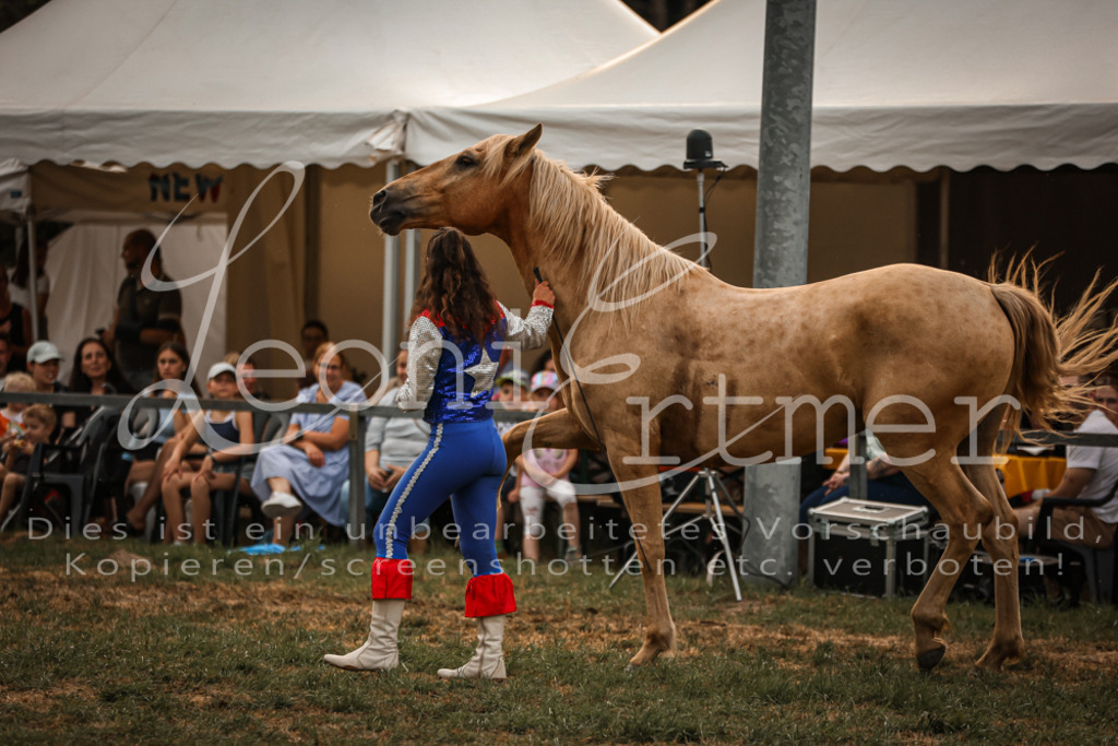 SaShow00046 | Leoni Ertmer Photography - Realisiert mit Pictrs.com