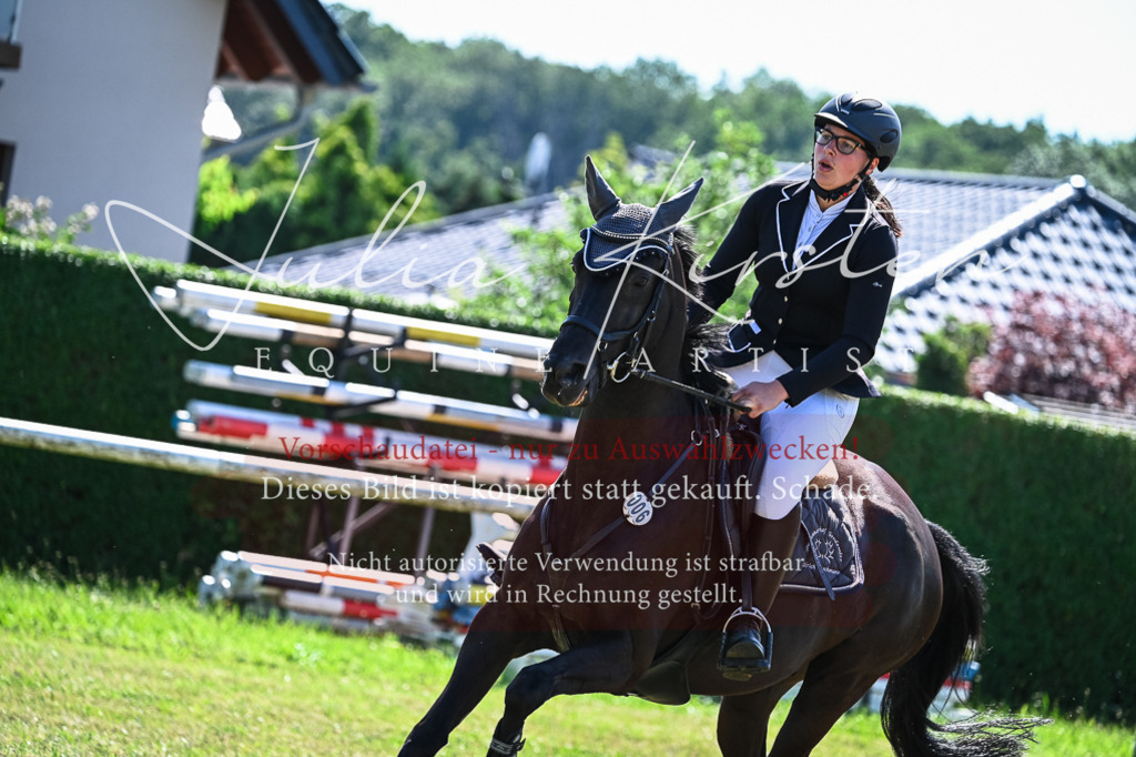DSC_1626 | Pferde- und Turnierfotografie in Westsachsen. Pferdeportraits, Auftragszeichnungen und intuitive Kunst.