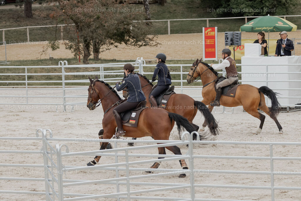 WE__Stoib_Rinder_PI2025_3033 | Pferd International München 2025