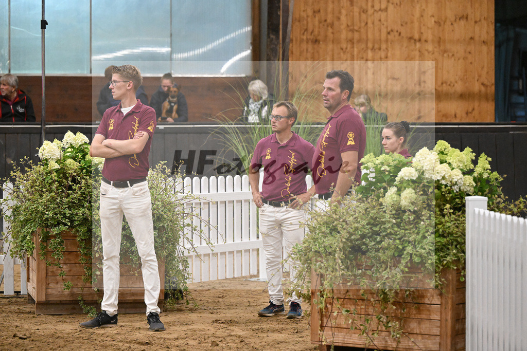 Fohlenauktion Next Chance_49220657 | hf-fotografie - Realisiert mit Pictrs.com