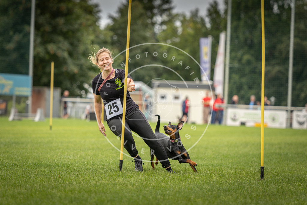 Pfotenfotografie_DV3A8026 | Hundefotografie, Tierfotograf, Pfotenfotografie, Fotoshooting Hund, Hunde Portrait, Hundesport, Hundeportraits, Heideshooting, Hunde, Sportfotograf, Hundefotograf, Turnierhundsport, THS,  - Realisiert mit Pictrs.com