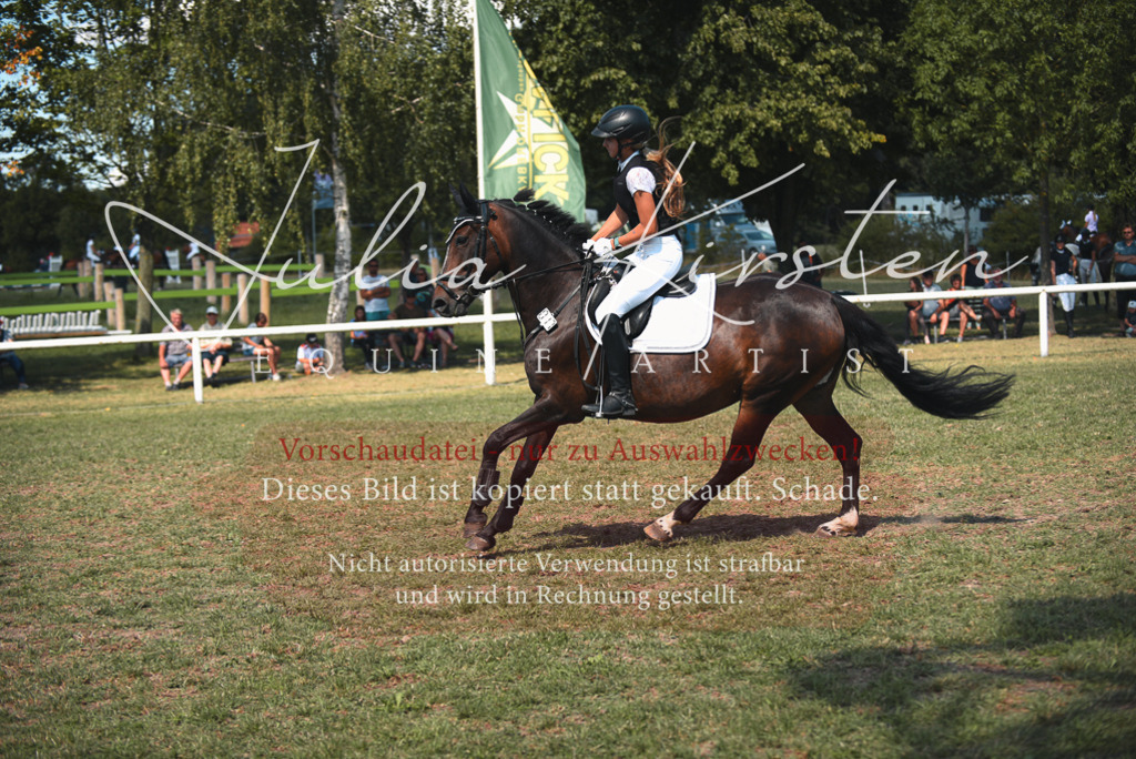 DSC_6961 | Pferde- und Turnierfotografie in Westsachsen. Pferdeportraits, Auftragszeichnungen und intuitive Kunst.