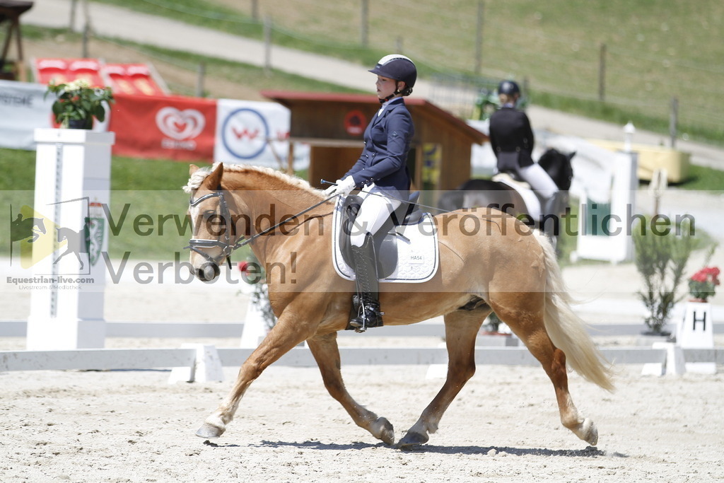_MG_5129 | equestrian-live-com