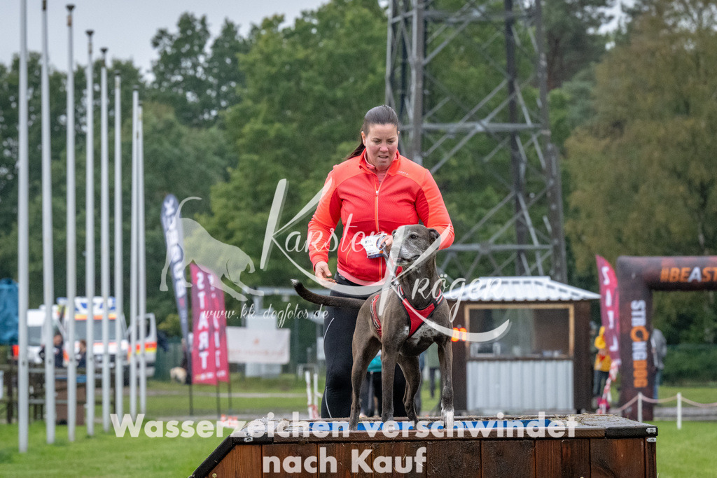 1125-94652 | kk-dogfotos