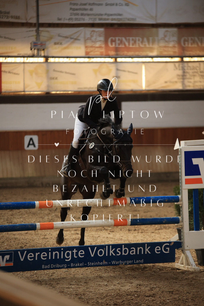 IMGT6525 | pl-fotografie