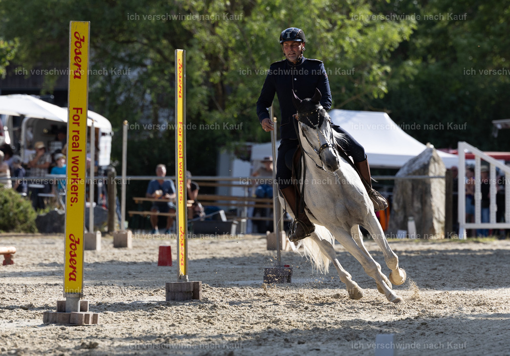 WS_SPEED_26_KerstinBernhardt49 | working equitationturnier fotograf videograf stoibphotography marixx film working equitation deutschland reitsport turnierfotografie eventfotografie equestrian events