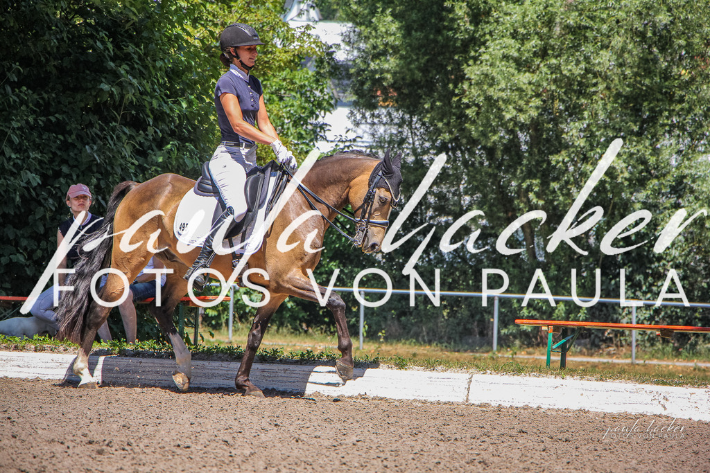 IMG_0672 | Erleben Sie dynamische Sport- und emotionale Tierfotografie in Süddeutschland mit Fotos von Paula. Spezialisiert auf Pferde- und Hundefotografie sowie Sportevents. Kontaktieren Sie mich für einzigartige und ausdrucksstarke Bilder Ihrer besonderen Momente.