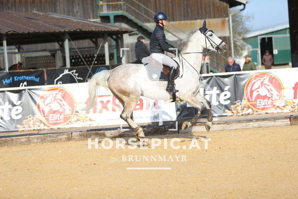 DL2Q8250 | Willkommen bei Brunnmayr - Design & Fotografie – Ihrem Spezialisten für Reitturniere und Pferdeveranstaltungen in Oberösterreich, Salzburg und Bayern! Seit über 17 Jahren sind wir leidenschaftlich dabei.