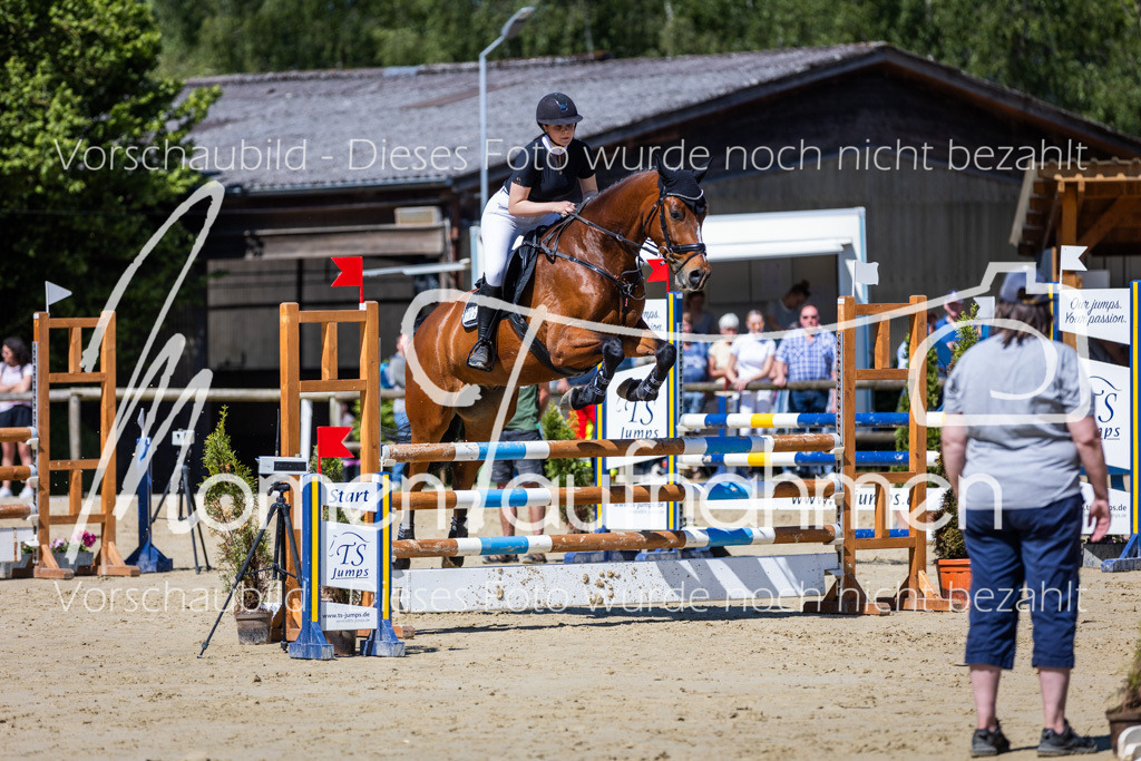 Donop24-ASprmstA-049 | MomenTaufnahmen Pferdesportfotos