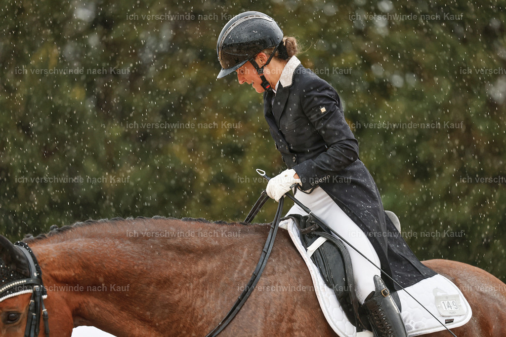 8_2-149-DRESSUR S_  -StoibPH-4486 | working equitationturnier fotograf videograf stoibphotography marixx film working equitation deutschland reitsport turnierfotografie eventfotografie equestrian events