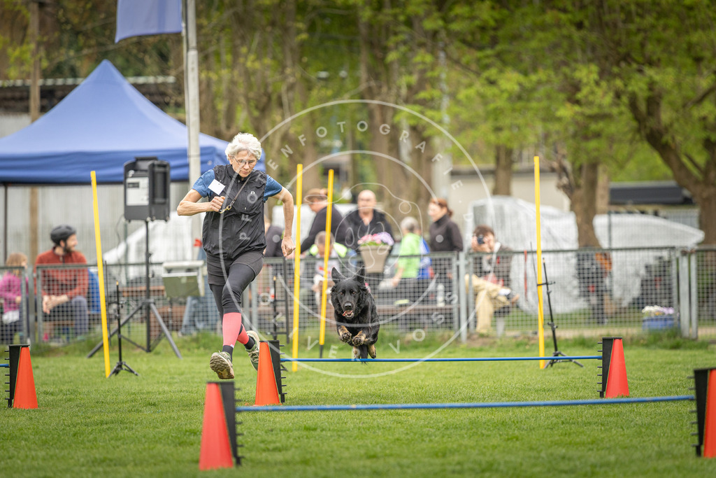 Pfotenfotografie_DV3A0910 | Hundefotografie, Tierfotograf, Pfotenfotografie, Fotoshooting Hund, Hunde Portrait, Hundesport, Hundeportraits, Heideshooting, Hunde, Sportfotograf, Hundefotograf, Turnierhundsport, THS,  - Realisiert mit Pictrs.com