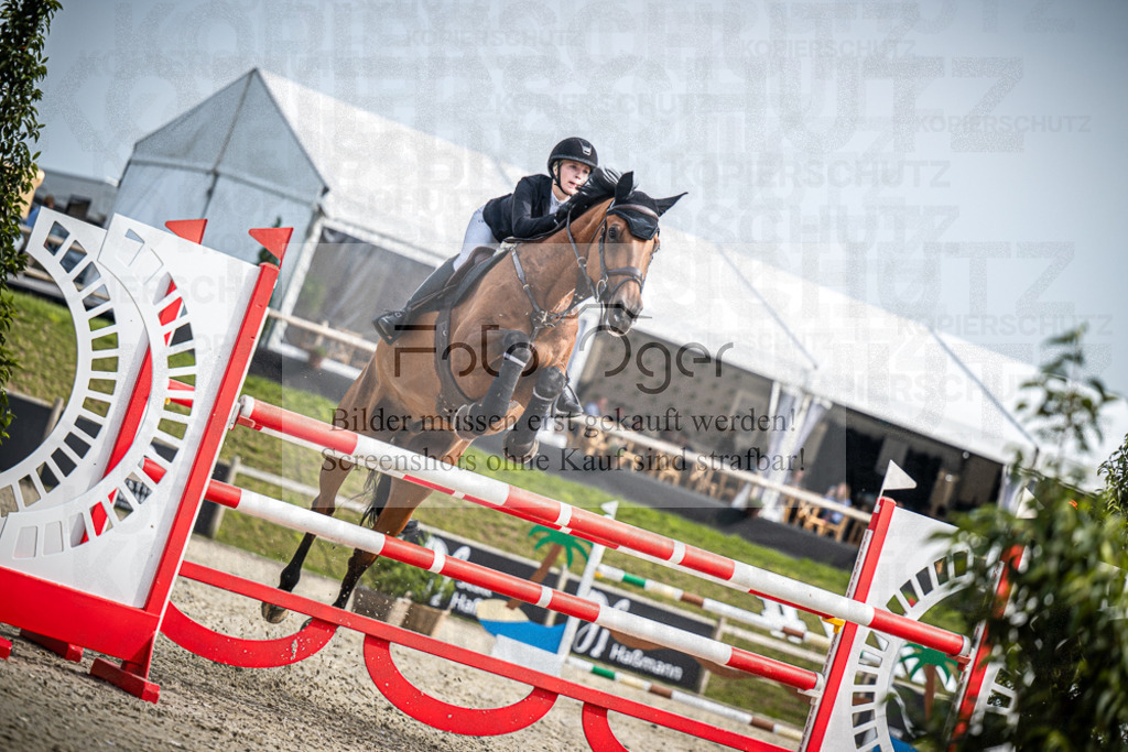 DOS_1973 | Entdecke hochwertige Reitturnierfotos von Foto Oger. Professionell, emotional und authentisch – jetzt Lieblingsmomente im Shop bestellen.Deutschlandweite Turnierfotografie. - Realisiert mit Pictrs.com