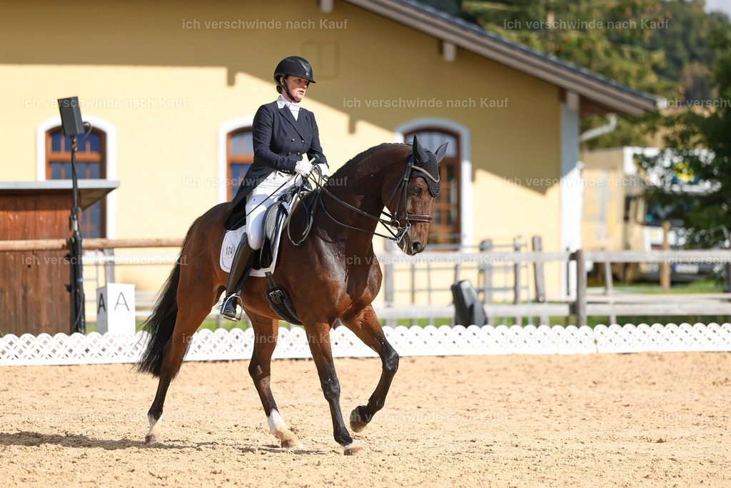 09_2-174-DRESSUR  S_  -StoibPH-5777 | working equitationturnier fotograf videograf stoibphotography marixx film working equitation deutschland reitsport turnierfotografie eventfotografie equestrian events