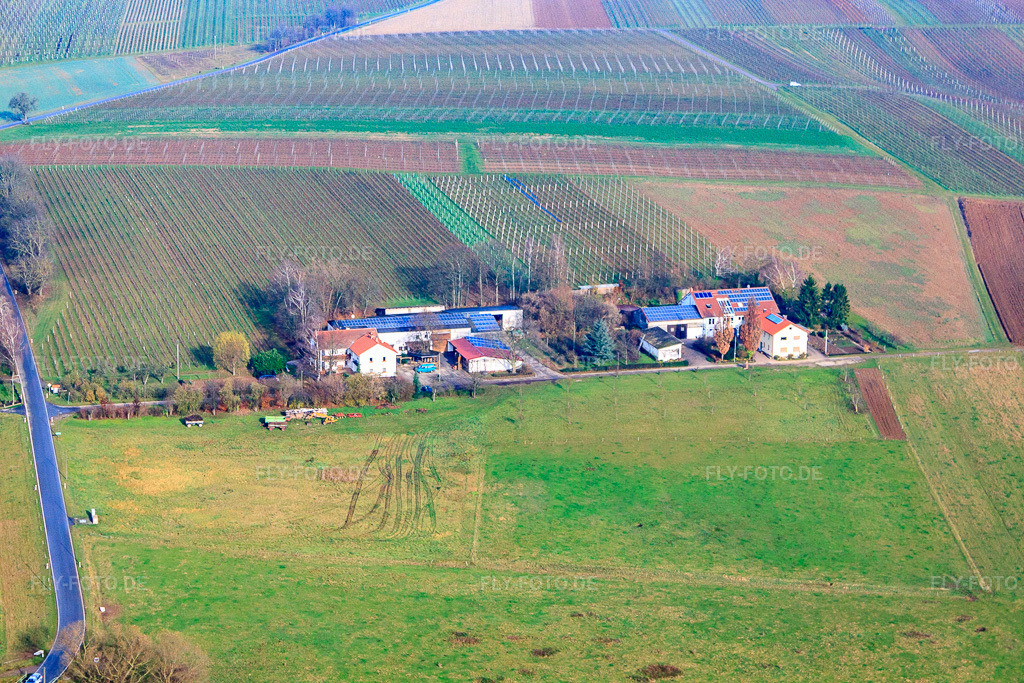 Luftbild: Eichenhof im Ortsteil Deutschhof in Kapellen-Drusweiler im Bundesland Rheinland-Pfalz in Deutschland.Foto: IMG_35570.jpg vom 20.11.2010 durch Werner Riehm/FLY-FOTO.deAuflösung des Originals: 4752 x 3168 px