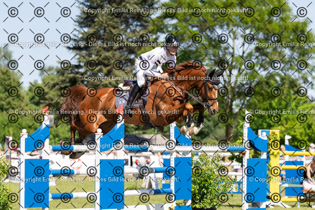 CL5A1343 | Emilia Reinking Fotografie - Realisiert mit Pictrs.com