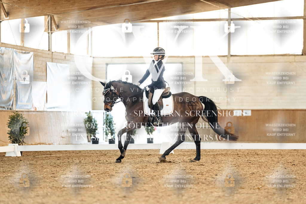 CK908314 | Turnierfotografie Pferdefotografie Trier Rheinland-Pfalz Pferdesport Reitsport Tierfotografie Sportfotografie Pferdevideo Pferdevideografie Equestrianvideography equestrianphotography  - Realisiert mit Pictrs.com