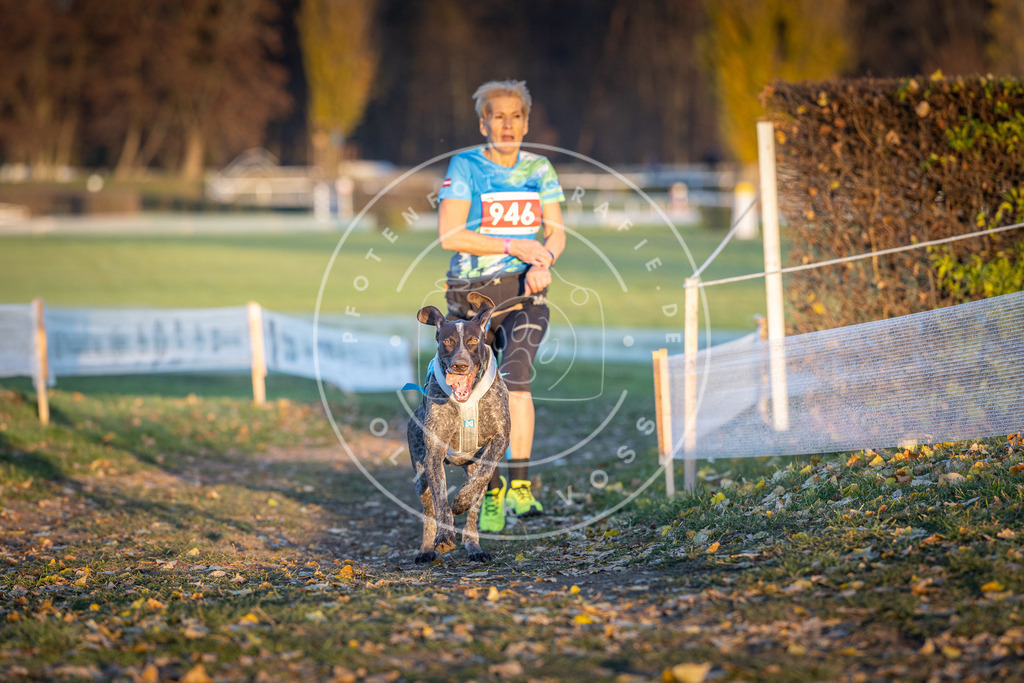 CaniXpix_DV3A5485 | Hundefotografie, Tierfotograf, Pfotenfotografie, Fotoshooting Hund, Hunde Portrait, Hundesport, Hundeportraits, Heideshooting, Hunde, Sportfotograf, Hundefotograf, Turnierhundsport, THS,  - Realisiert mit Pictrs.com