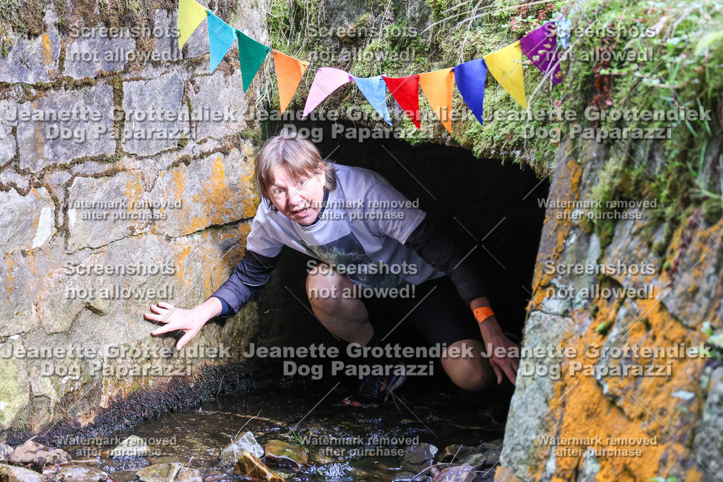 Dog Paparazzi -  TH 26-27 | Dog Paparazzi Jeanette Grottendiek Fotografie & Videografie - Realisiert mit Pictrs.com