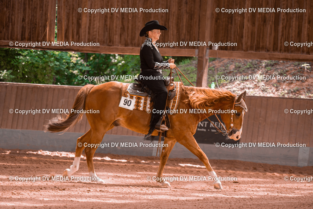 NE300650 | dv-media-shop - Realisiert mit Pictrs.com