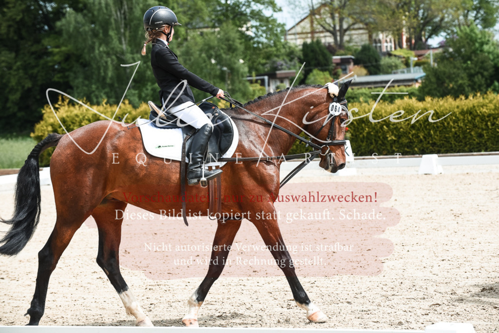 20230518_JK-Röhrsdorf-11-0124 | Pferde- und Turnierfotografie in Westsachsen. Pferdeportraits, Auftragszeichnungen und intuitive Kunst.