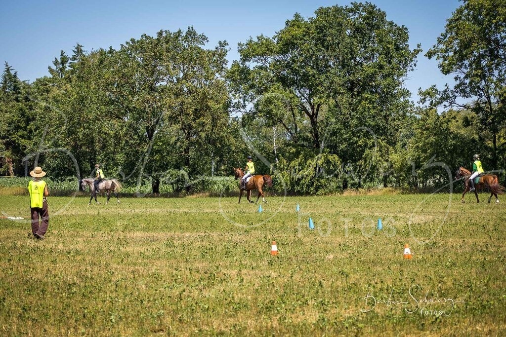 CJP_2026-06-26_01 | Stimmungsvolle Fotografie von Pferden, fotografische Begleitung von Veranstaltungen, Golfturnieren und Distanzritten - Realisiert mit Pictrs.com