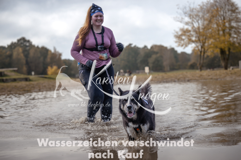 1339_ZZ94474 | kk-dogfotos